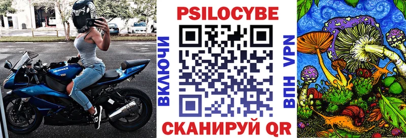 Галлюциногенные грибы Psilocybe  хочу   Татарск 