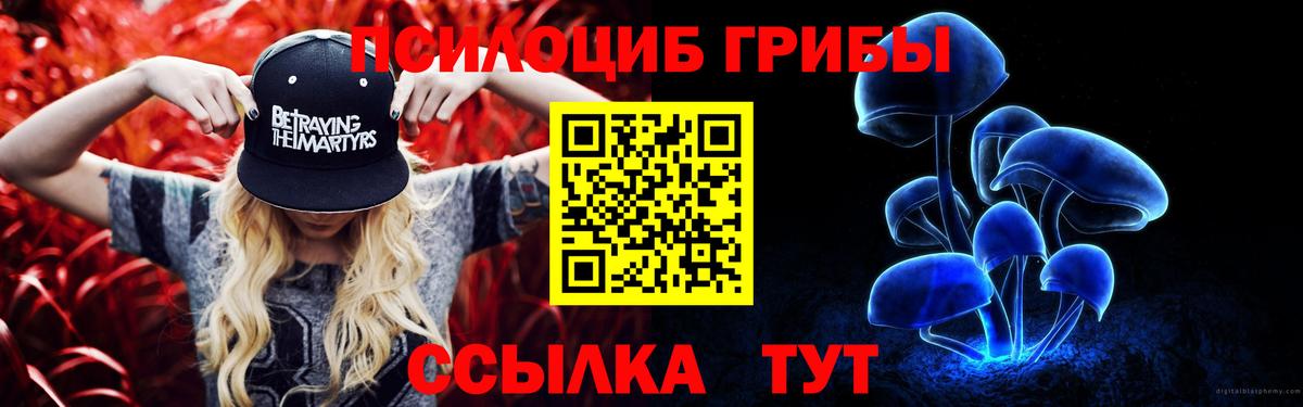 Псилоцибиновые грибы Psilocybine cubensis  Вход с VPN  Псилоцибиновые грибы мицелий  Татарск 